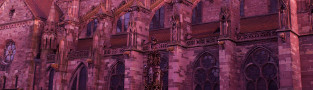 Freiburger Münster